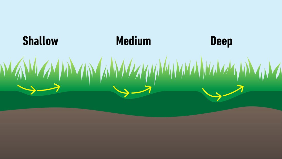 Which type of divot are you?